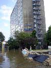 Hochwassereinsatz Elbe - Bild 8
