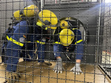 Leistungsnachweis AGT  - Bild 2