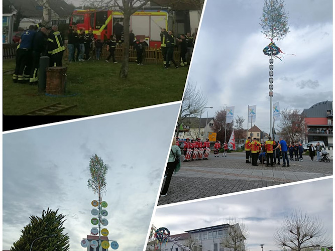 Maibaumsetzen