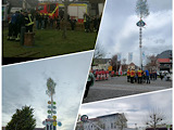 Maibaumsetzen