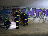 Dienstags-Ausbildung Abstützen - Bild 22