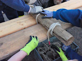Ausbildung Bretttafelbund  - Bild 3