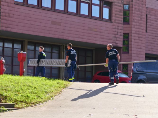 Ganztagesausbildung - B+N 