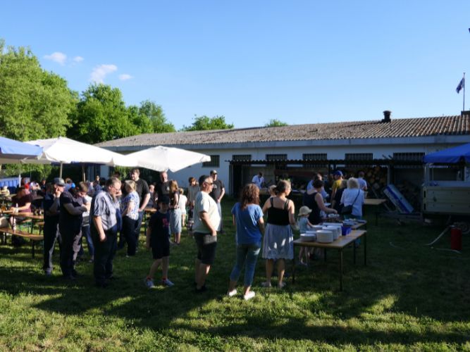Grillfest Grillfest