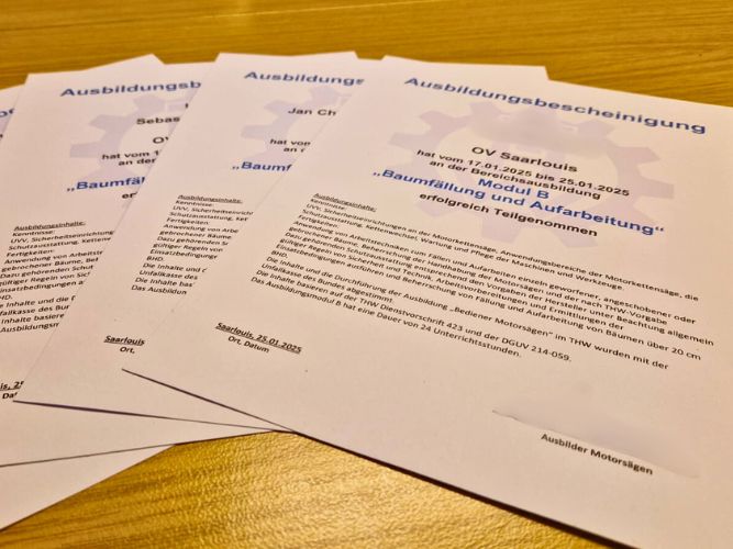 Bereichsausbildung Motorsägen Modul B Teil 2