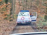 Bereichsausbildung Motorsägen Modul B Teil 2 - Bild 12