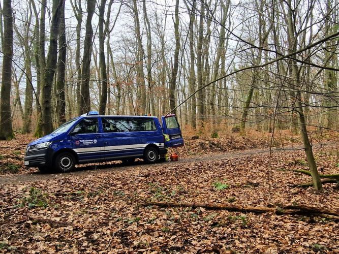 Bereichsausbildung Motorsägen Modul B Teil 2