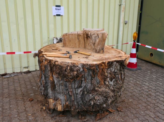 Sommerfest & Tag der offenen Tür - Sonntag