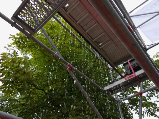 Sommerfest & Tag der offenen Tür - Sonntag