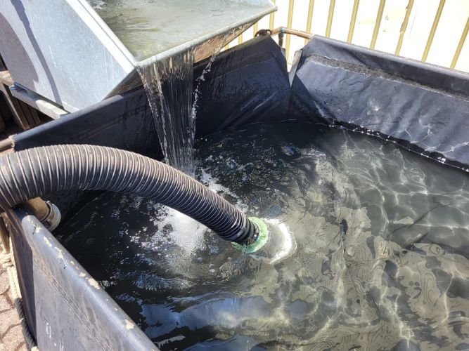 Technischer Dienst - Pumpen