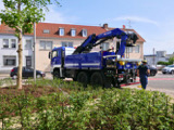 Transport der historischen Walze  - Bild 42