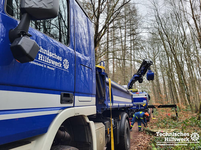 Vorbereitung Motorsägen Modul B 