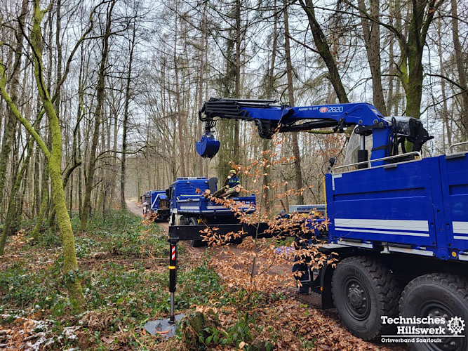 Vorbereitung Motorsägen Modul B 