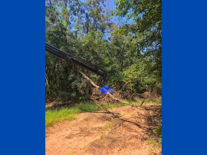 Zeltlager (Ausbildungswochenende)