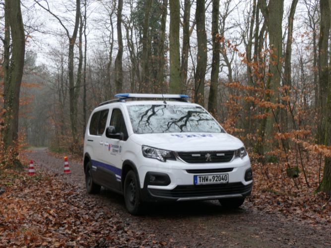 Bereichsausbildung Motorsägen Modul A 