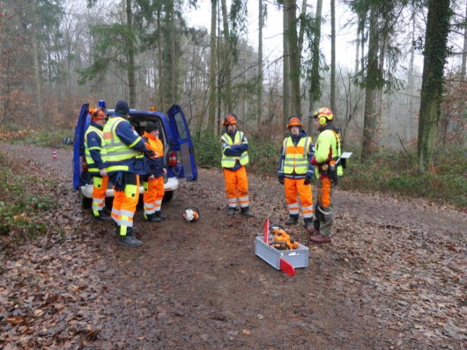 Bereichsausbildung Motorsägen Modul A 