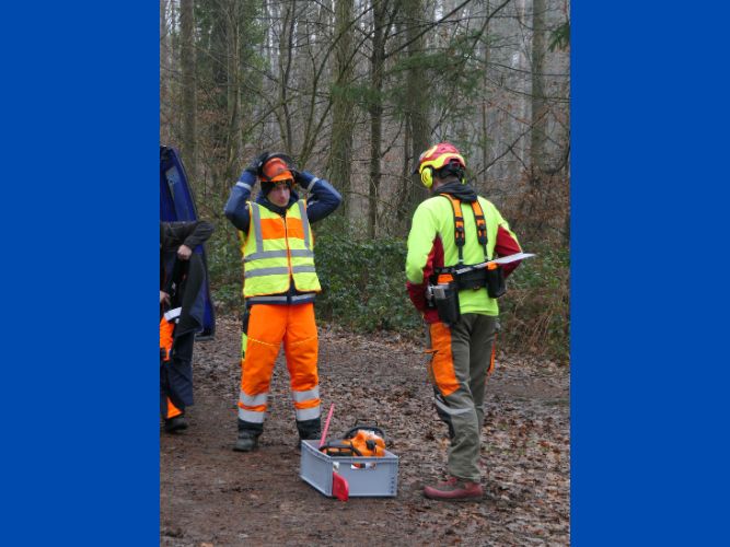 Bereichsausbildung Motorsägen Modul A 