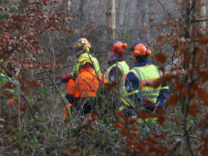 Bereichsausbildung Motorsägen Modul A 