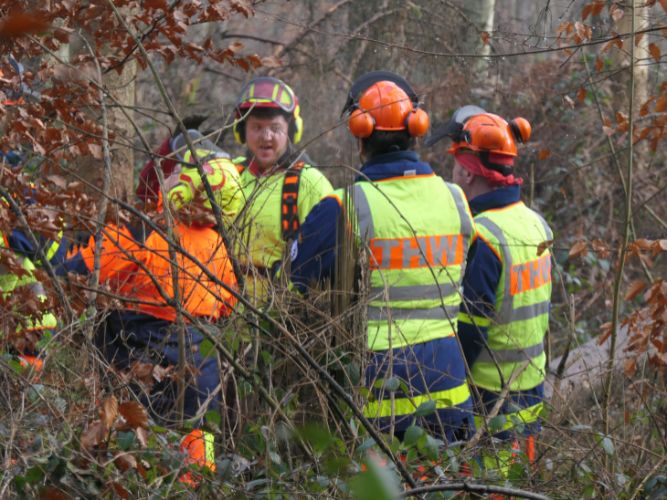 Bereichsausbildung Motorsägen Modul A 