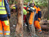 Bereichsausbildung Motorsägen Modul A  - Bild 24
