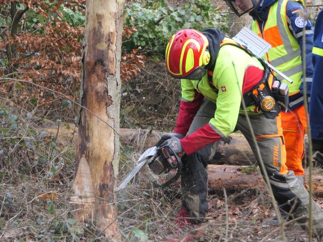 Bereichsausbildung Motorsägen Modul A 