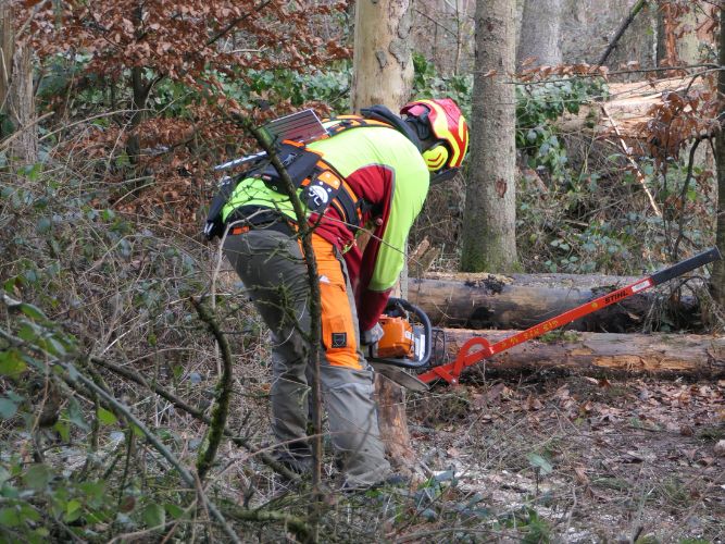Bereichsausbildung Motorsägen Modul A 