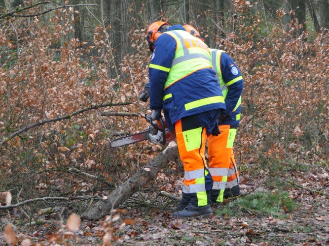 Bereichsausbildung Motorsägen Modul A 