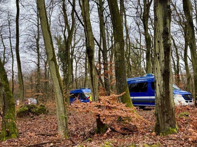 Bereichsausbildung Motorsägen Modul A 