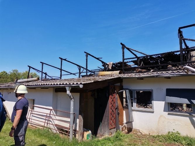 Einsatz 1: Brand Geflügelhof Hemmersdorf 