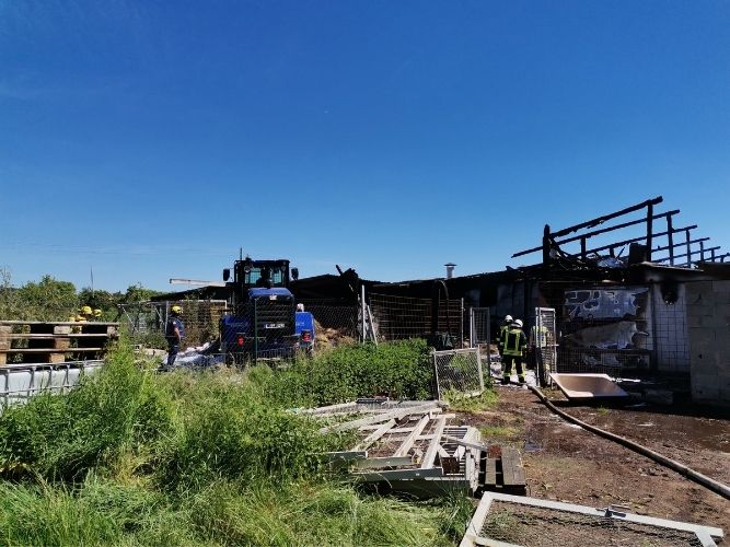 Einsatz 1: Brand Geflügelhof Hemmersdorf 