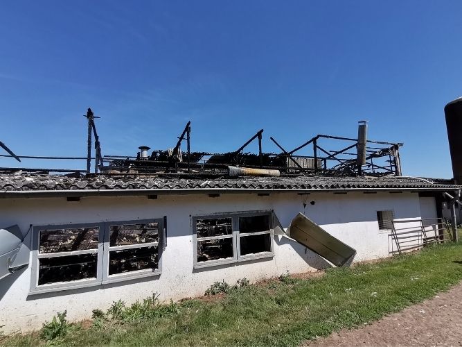 Einsatz 1: Brand Geflügelhof Hemmersdorf 