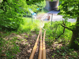 Einsatz 2: Fischsterben Merzig-Mechern - Bild 9