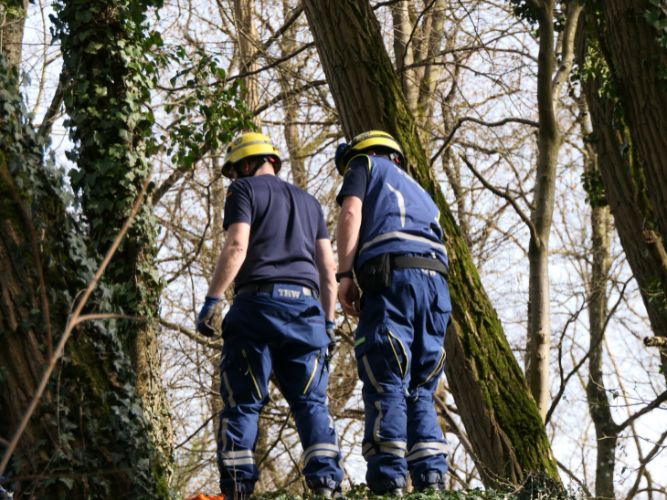 Ganztagesausbildung - OV 