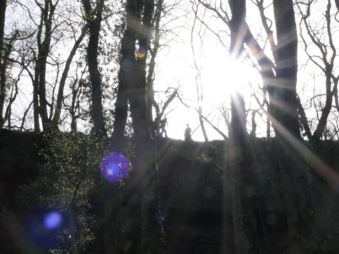 Ganztagesausbildung - OV 